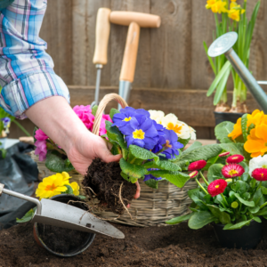 Garten & Outdoor